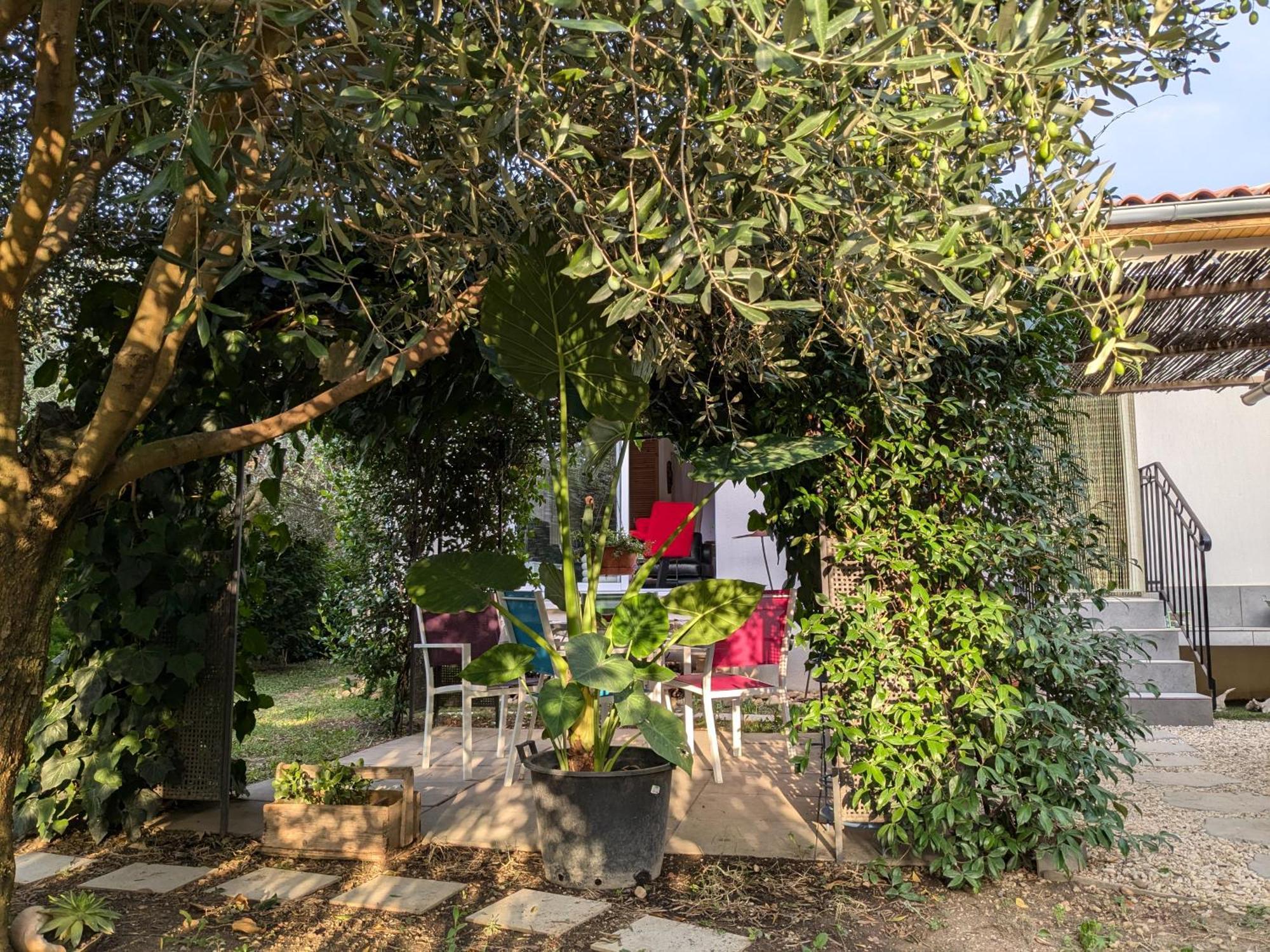 La Maison Sous L'Olivier Villa Morieres-les-Avignon Exterior photo